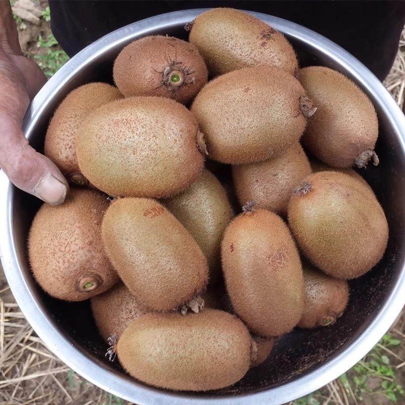 正宗周至猕猴桃翠香整箱大大果120-150g新鲜孕妇水果5斤包邮脆香