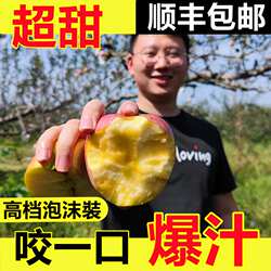 山西运城临猗苹果冰糖心红富士丑苹果脆甜新鲜应季水果精选现摘