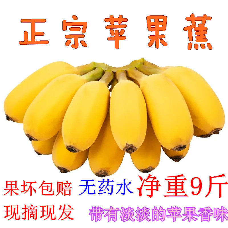 广西苹果蕉当季新鲜水粉