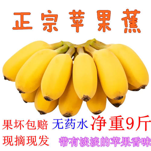 广西苹果蕉当季新鲜水粉