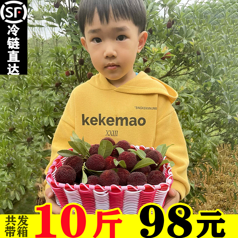 【特甜】浙江仙居杨梅水