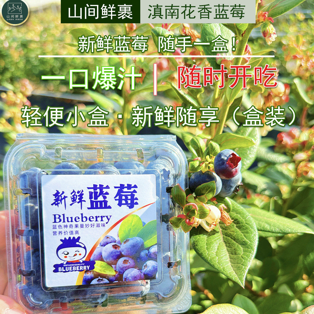 云南高山花香大果蓝莓新鲜现摘水果孕妇宝宝礼盒装顺丰包邮,包装,水果包装,淘宝优惠券,粉丝福利购,淘宝优惠卷