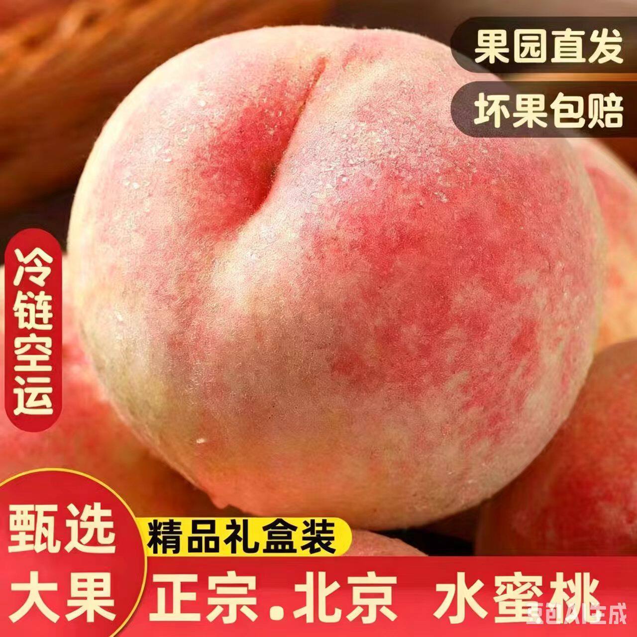 正宗大桃水蜜桃久保桃绿