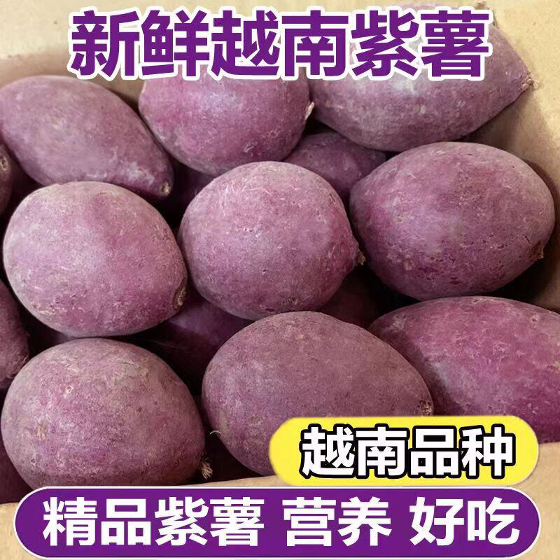 越南品种小紫薯新鲜农家