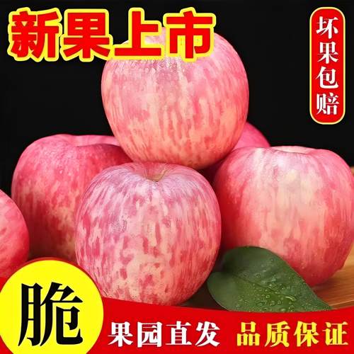 正宗烟台苹果脆甜应季糖