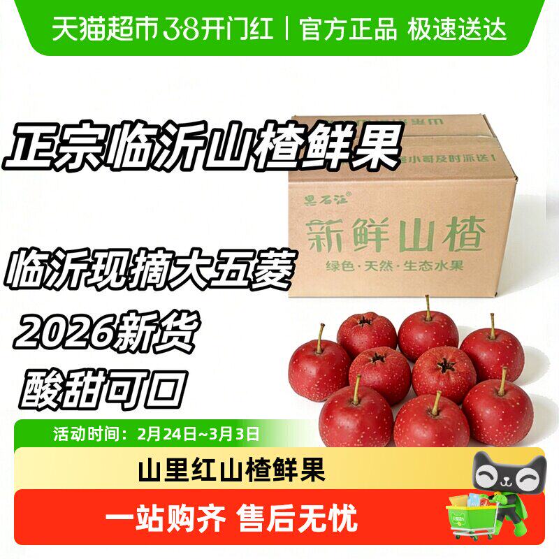 山楂鲜果新鲜孕妇水果大五菱现摘山里红小果甜红子野生小山楂