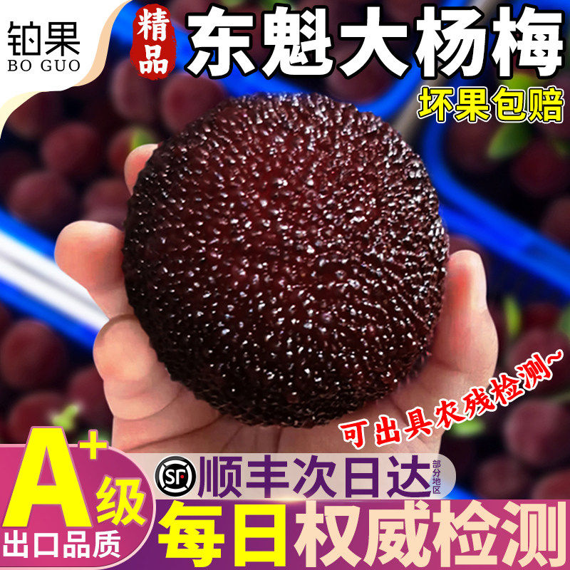 【不泡药】顺丰5斤漳州东