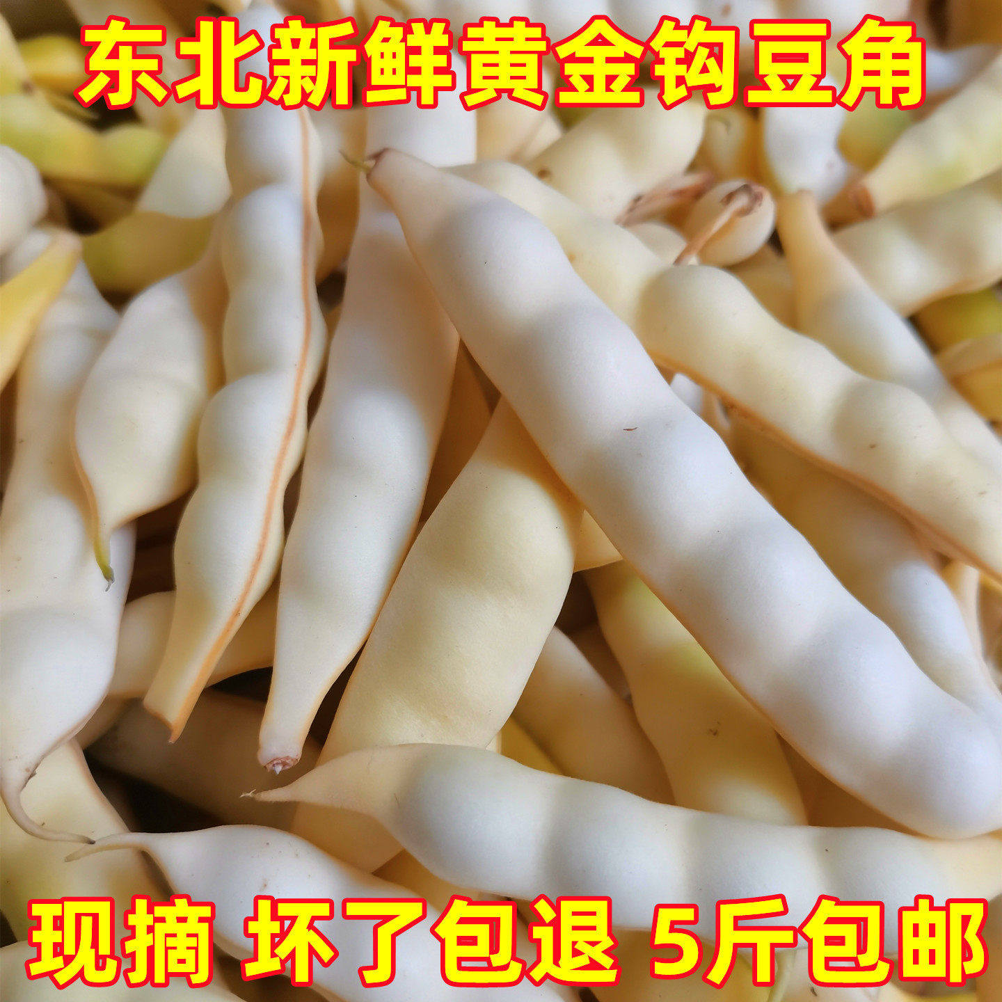 26年新鲜黄豆角东北黄金勾油豆角兔子翻白眼勾勾黄豆角5斤10包邮