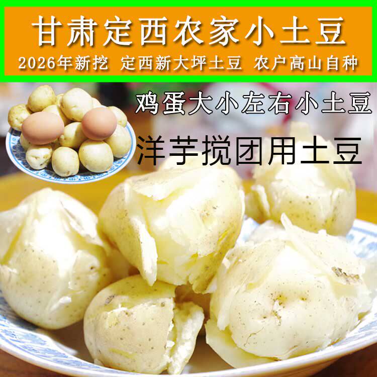新鲜甘肃土豆定西小土豆新大坪洋芋农家自种马铃薯旱地高山沙面