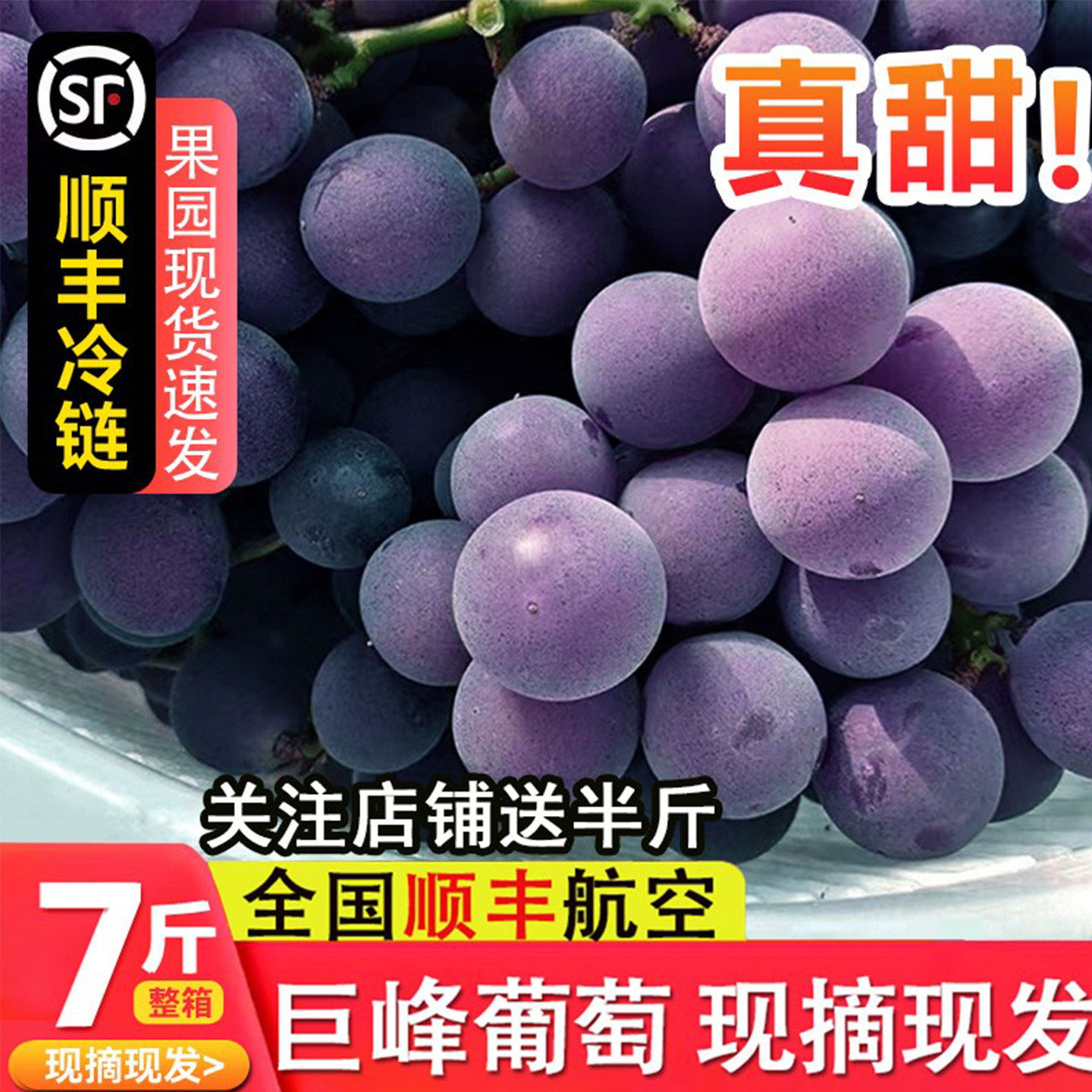 正宗浦江巨峰葡萄新鲜采