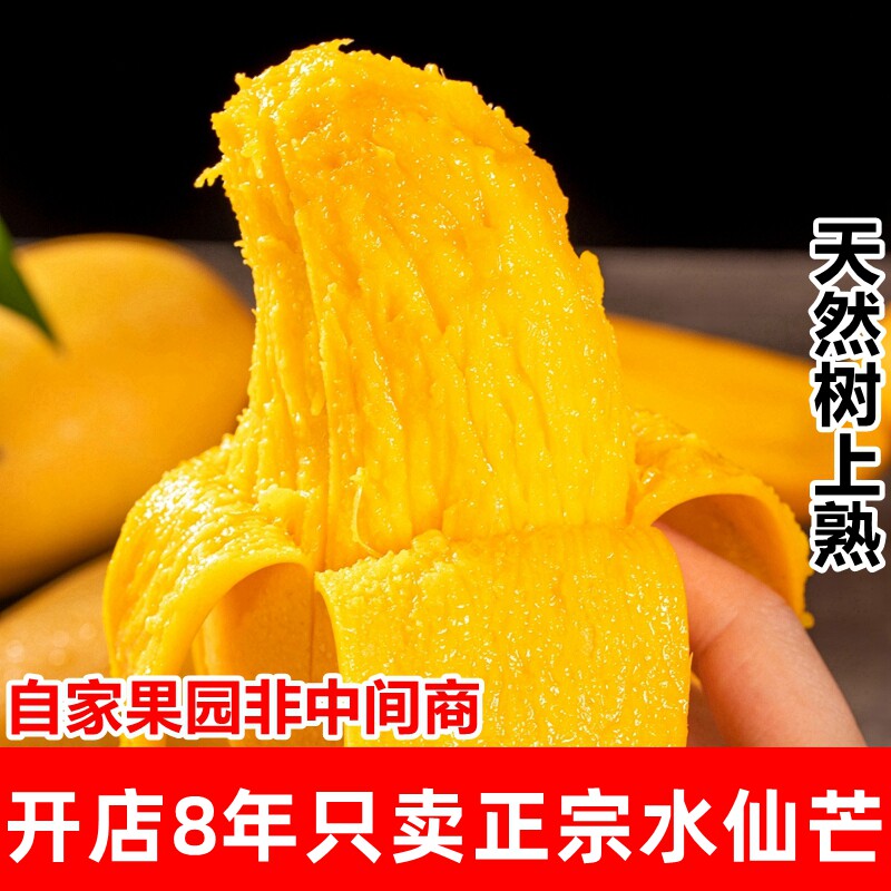 【自家果园】正宗高山水