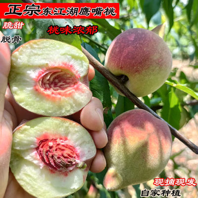 鹰嘴桃新鲜东江湖脱骨资