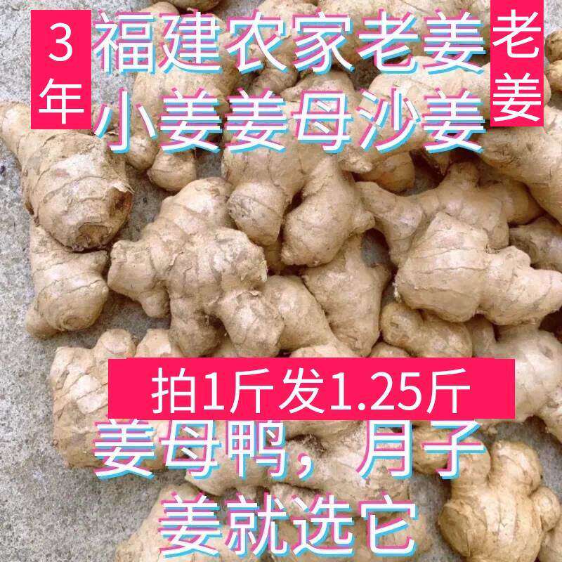 福建老姜生母鸭小黄头姜