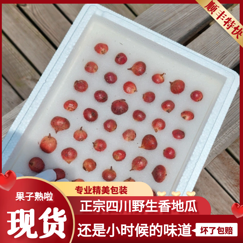 四川野地瓜果子新鲜水果