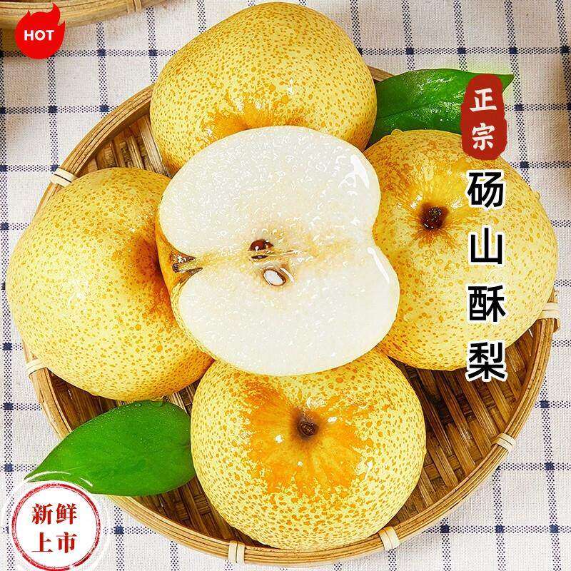 正宗安徽砀山酥梨新鲜水果现摘原产地发货应季特产烤梨整箱包邮10