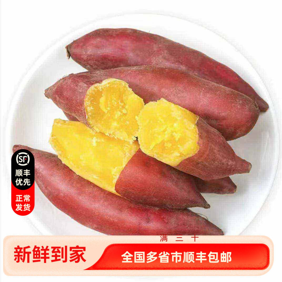 天目山小香薯黄心板栗金