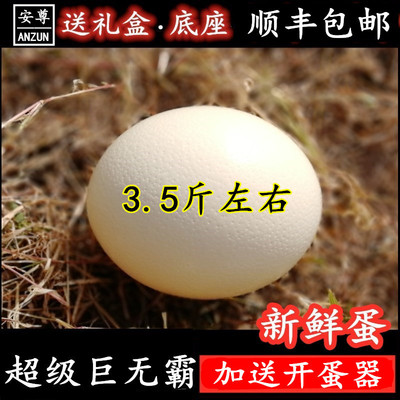 顺丰巨无霸鸵鸟蛋包邮新鲜食用蛋超大号鸸鹋蛋特大三斤鸵鸟苗