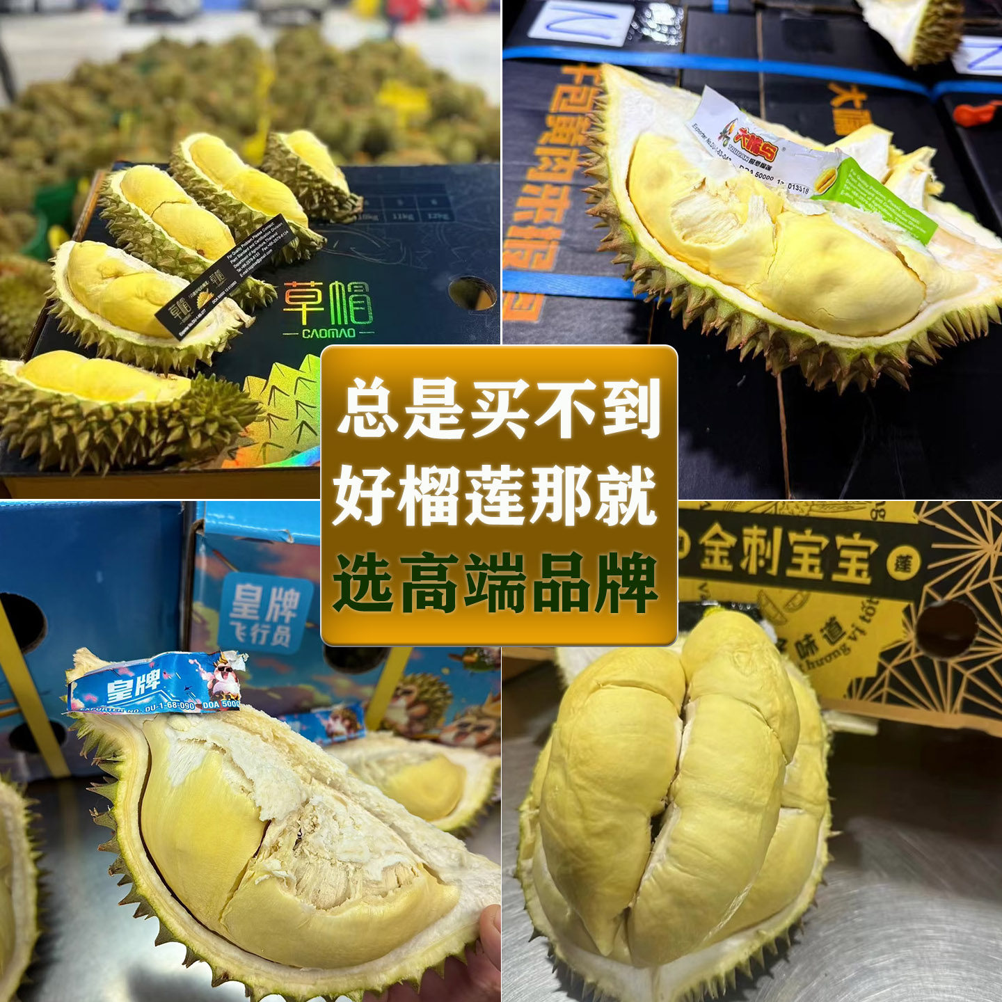 草帽/大嘴鸟/皇牌飞行员/