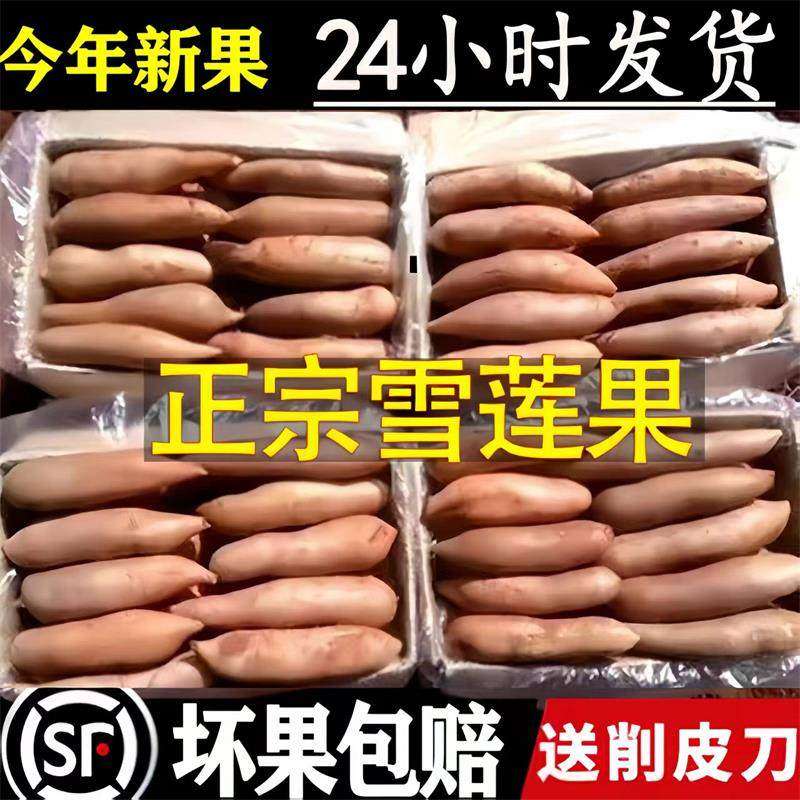 云南天山雪莲果10斤红心一级新鲜水果黄心清甜特级当季整箱长果,包装,水果包装,淘宝优惠券,粉丝福利购,淘宝优惠卷