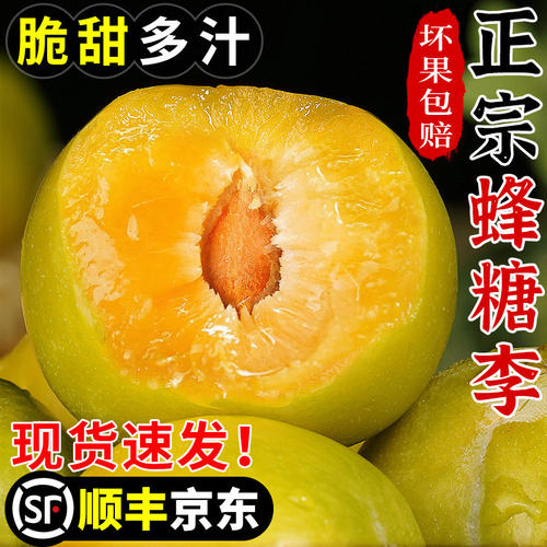 正宗贵州蜂糖李5斤李子新