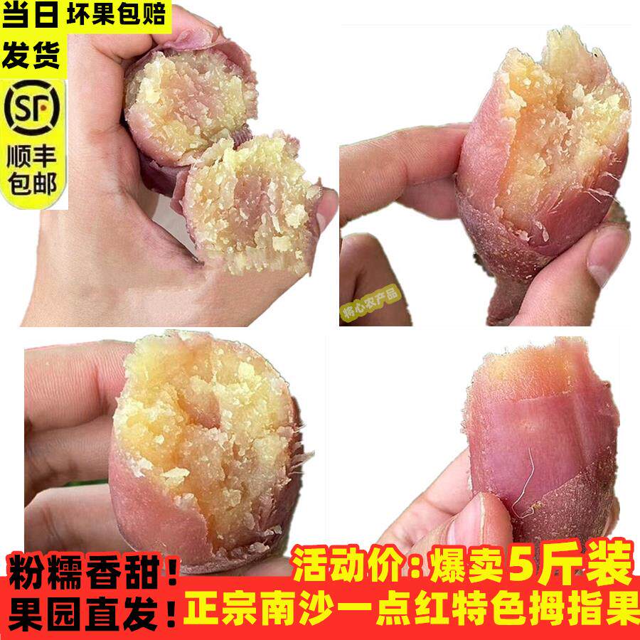 回购率一点红拇指番薯新