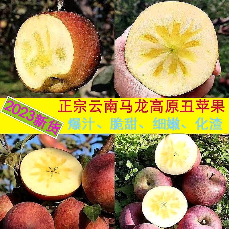 2025新货果园直发包邮云南马龙丑苹果原生态歪苹果脆甜野生不打蜡