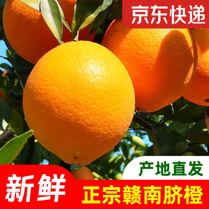 正宗赣南脐橙新鲜江西赣州橙子9斤产地直发当季水果,包装,水果包装,淘宝优惠券,粉丝福利购,淘宝优惠卷