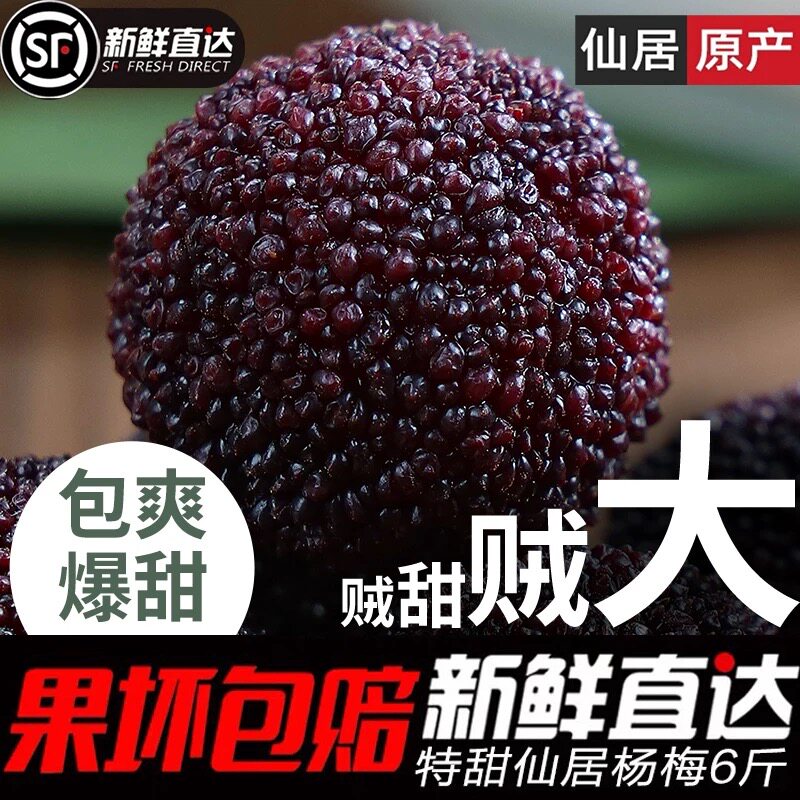 浙江仙居杨梅新鲜东魁果