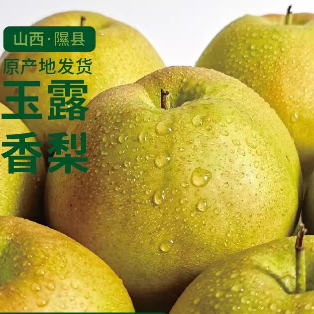 隰县玉露香梨核小脆甜多汁礼盒精美包装水果包邮净重 8 斤