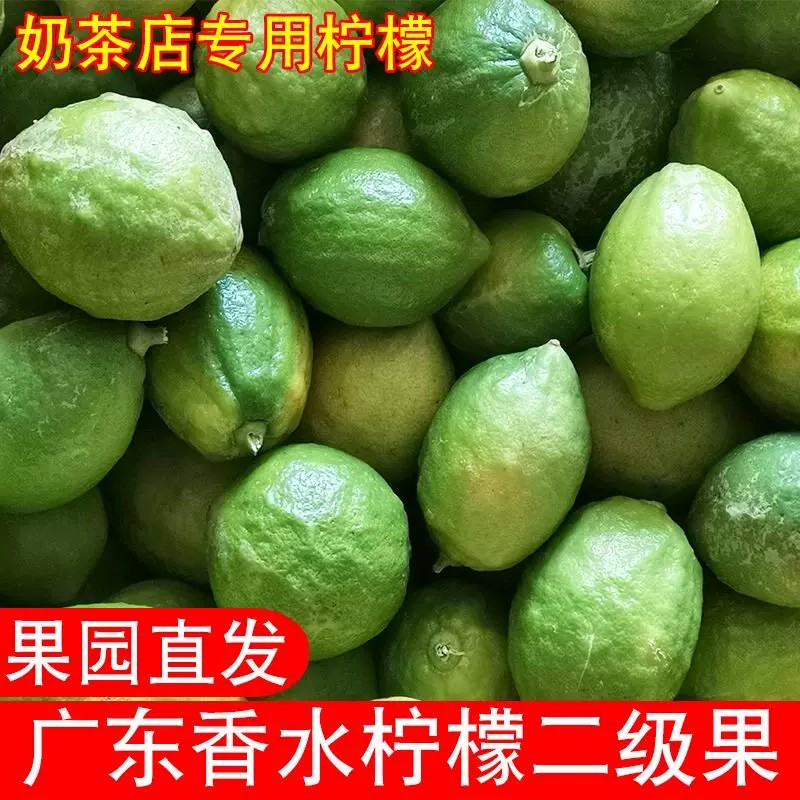 广东香水柠檬新鲜无籽二