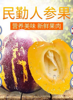 十个勤天助农甘肃民勤人