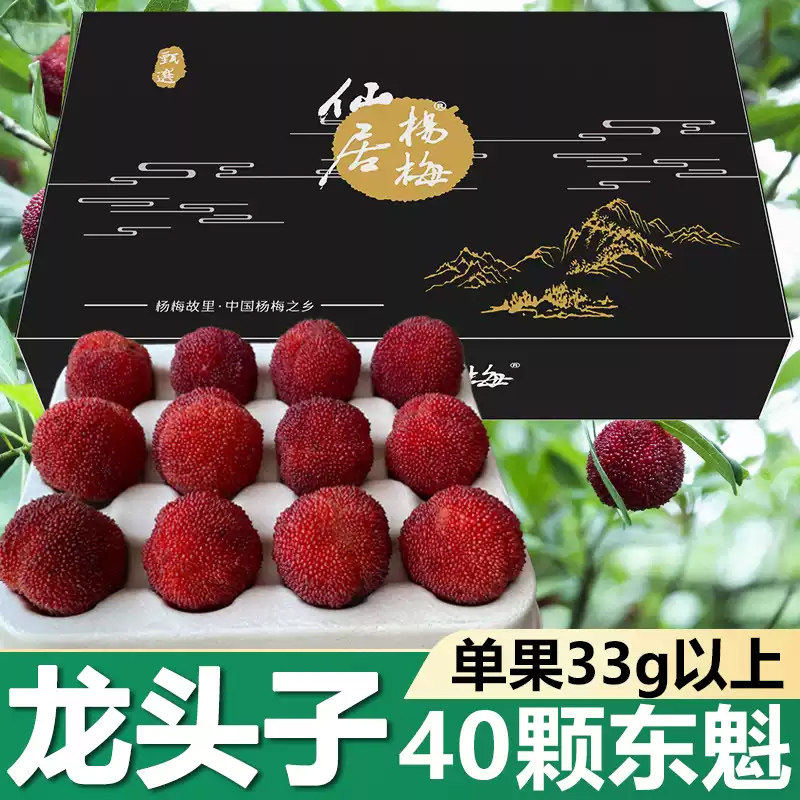 12A仙居杨梅东魁杨梅新鲜水果送礼顺丰现摘礼盒装40颗兵乓球大33g