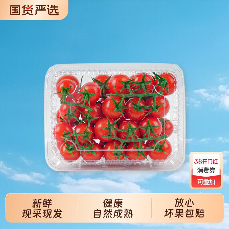 柿一家串收樱桃番茄新鲜