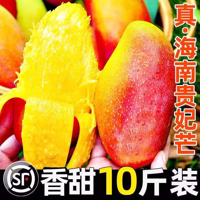 海南贵妃芒芒果新鲜10斤水果当季整箱树上熟红金玉青煌大辣椒台芒