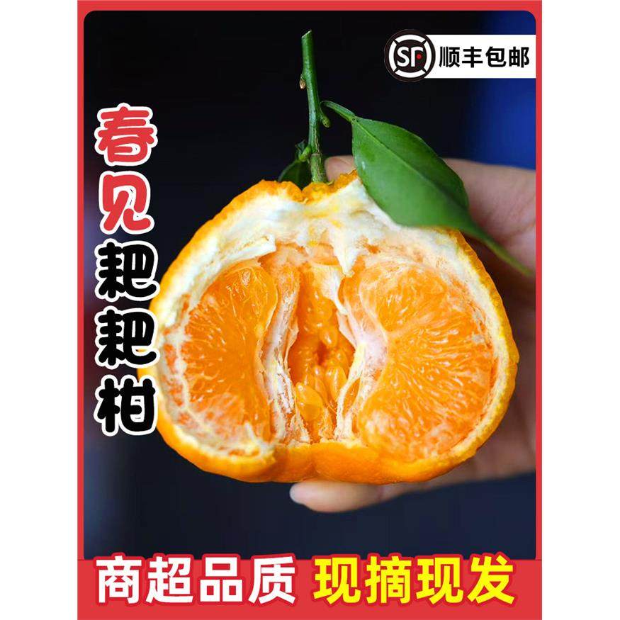 顺丰包邮四川春见耙耙柑新鲜孕妇水果10斤特大杷杷柑应季丑柑橘子,包装,水果包装,淘宝优惠券,粉丝福利购,淘宝优惠卷