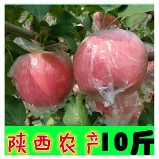 陕西咸阳礼泉新鲜当季脆甜红富士苹果冰糖心现摘现发时令孕妇水果