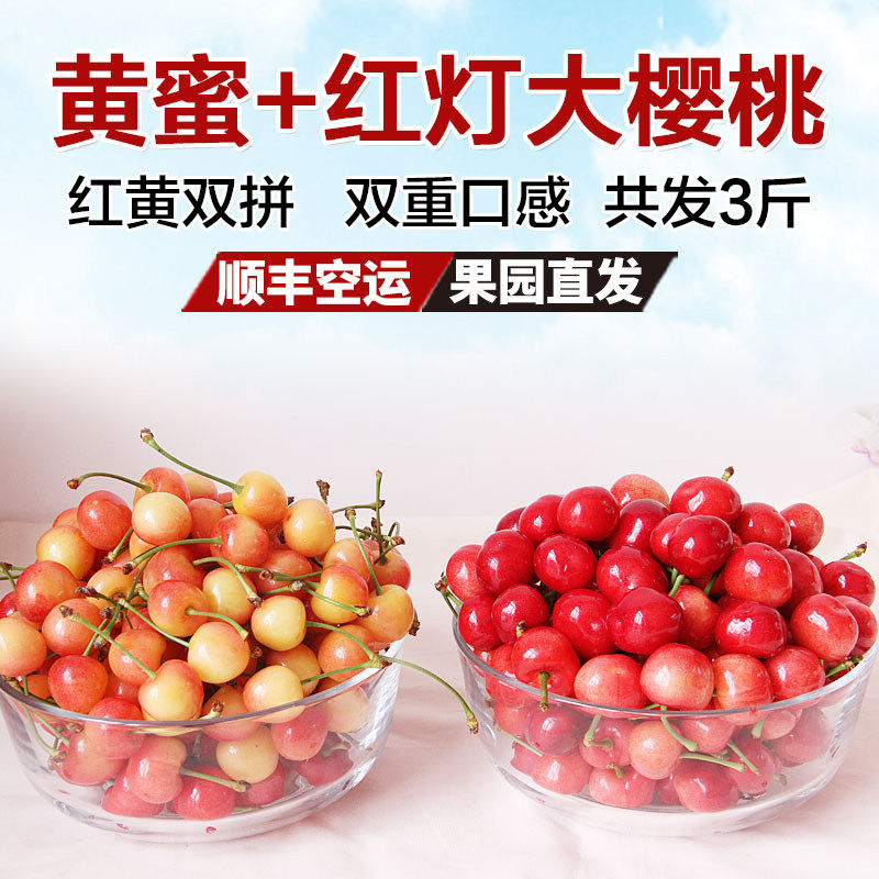 山东黄蜜樱桃3斤/烟台红