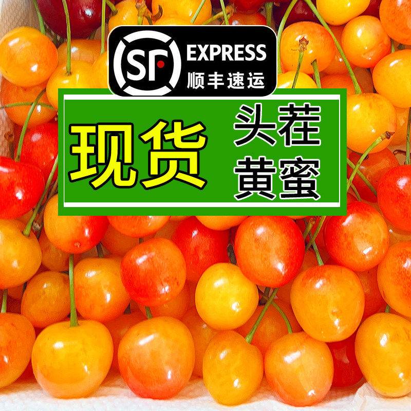 正宗黄蜜水晶大樱桃山东