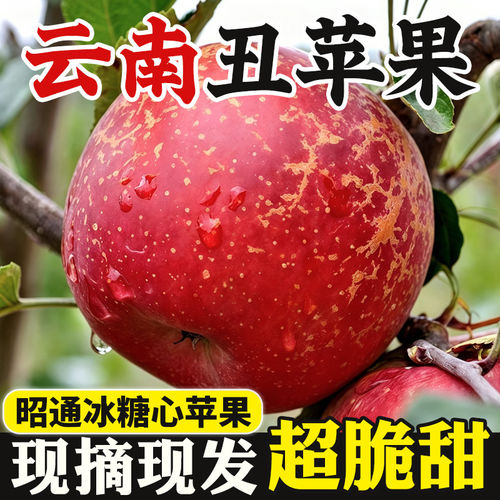 云南昭通市丑苹果新鲜水果当季9斤富士脆甜糖心苹果红露整箱包邮