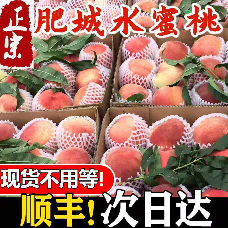 顺丰山东特产肥桃肥城水