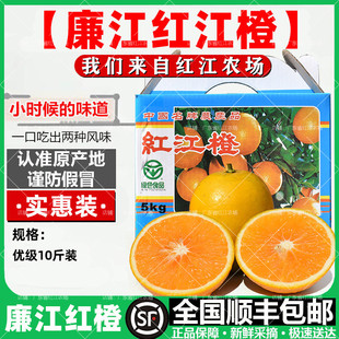 红江橙正宗红江农场廉江红橙10斤装橙子当季新鲜水果手剥薄皮甜橙