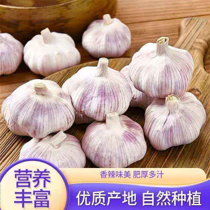 【山东金乡】干大蒜头农