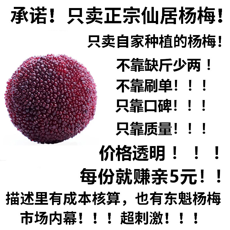 现摘现发仙居东魁杨梅当