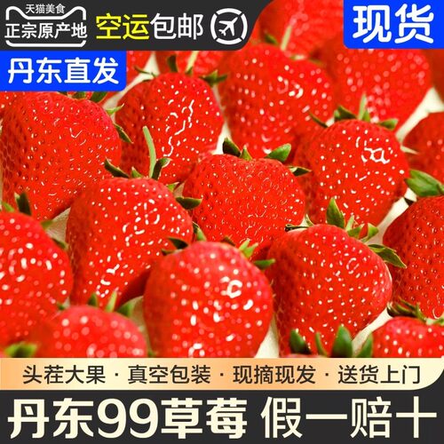 丹东99草莓东港大九九牛