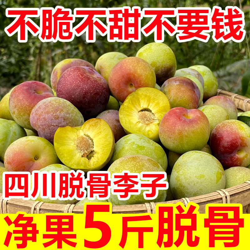 四川李子新鲜水果脱骨脆