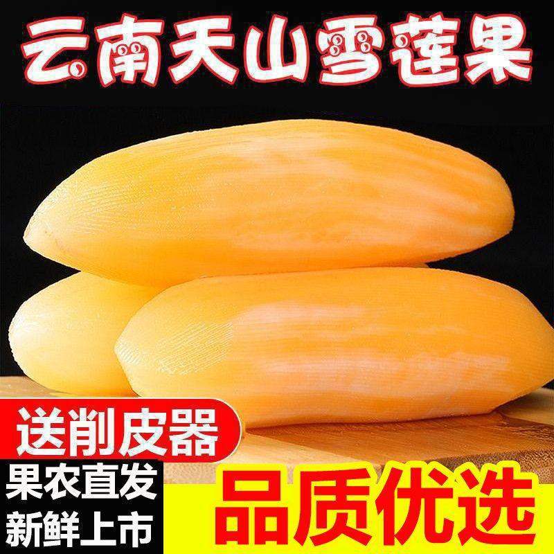 【下单立减50】云南天山雪莲果清甜脆爽多汁黄心新鲜应季现摘水果,包装,水果包装,淘宝优惠券,粉丝福利购,淘宝优惠卷