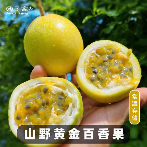 甜且浓香·团子家的果园
