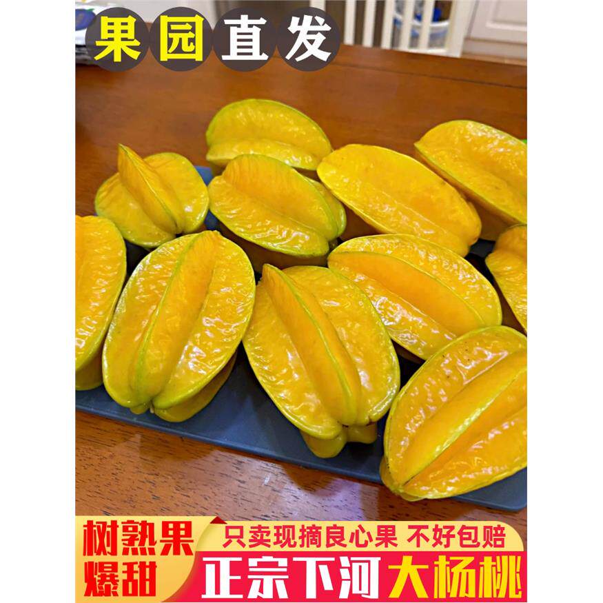 新鲜杨桃树上熟下河杨桃新鲜水果当季孕妇水果清甜产地直发5斤装