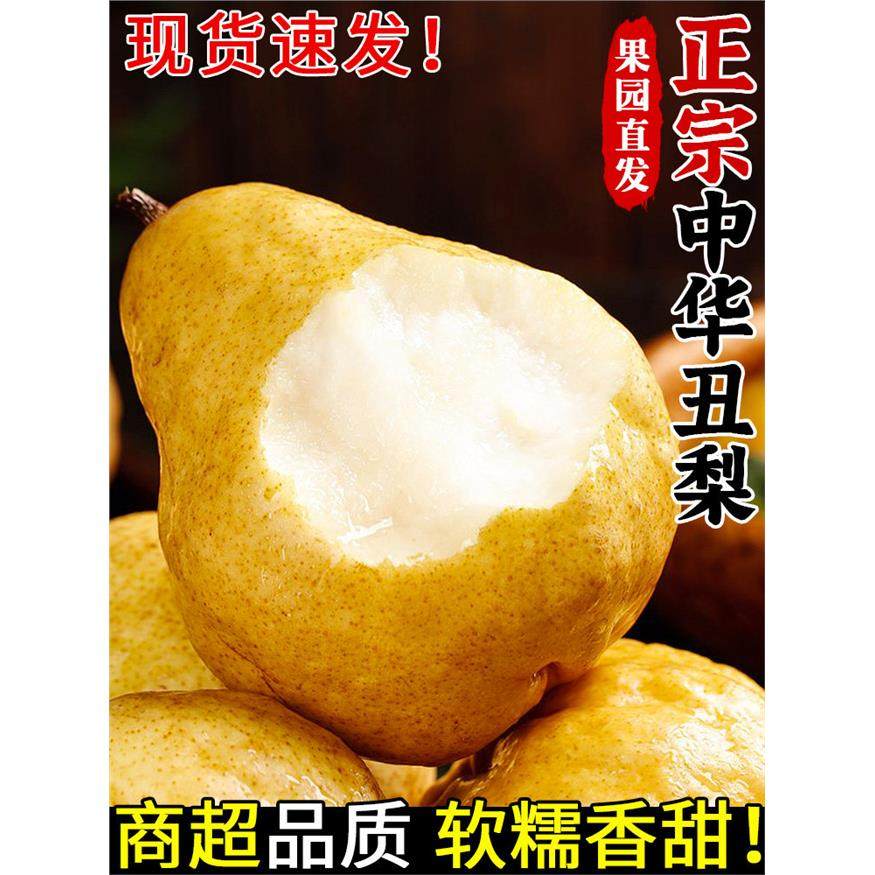 正宗中华丑梨山东烟台莱阳梨软糯香甜太婆梨啤梨当季新鲜水果整箱,包装,水果包装,淘宝优惠券,粉丝福利购,淘宝优惠卷