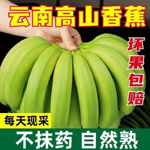 云南高山香蕉自然熟新鲜